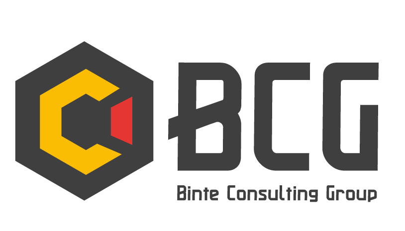 Binte Consulting